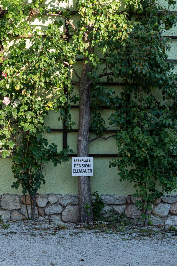 Aberseeblick Pension Ellmauer Sankt Wolfgang im Salzkammergut Ngoại thất bức ảnh