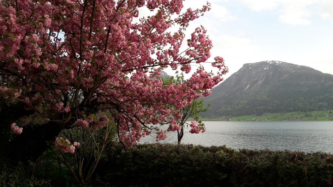 Aberseeblick Pension Ellmauer Sankt Wolfgang im Salzkammergut Ngoại thất bức ảnh